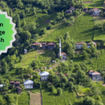 Essay On Village In English: A Journey Close to Nature
